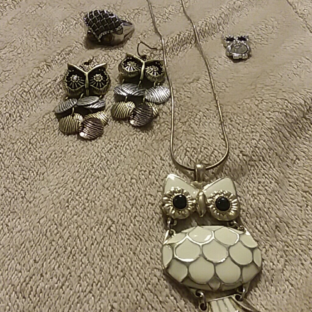 Owl bundle